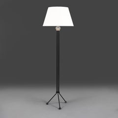 An Unusual Atomic Ebonised Standard Lamp