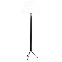 An Unusual Atomic Ebonised Standard Lamp