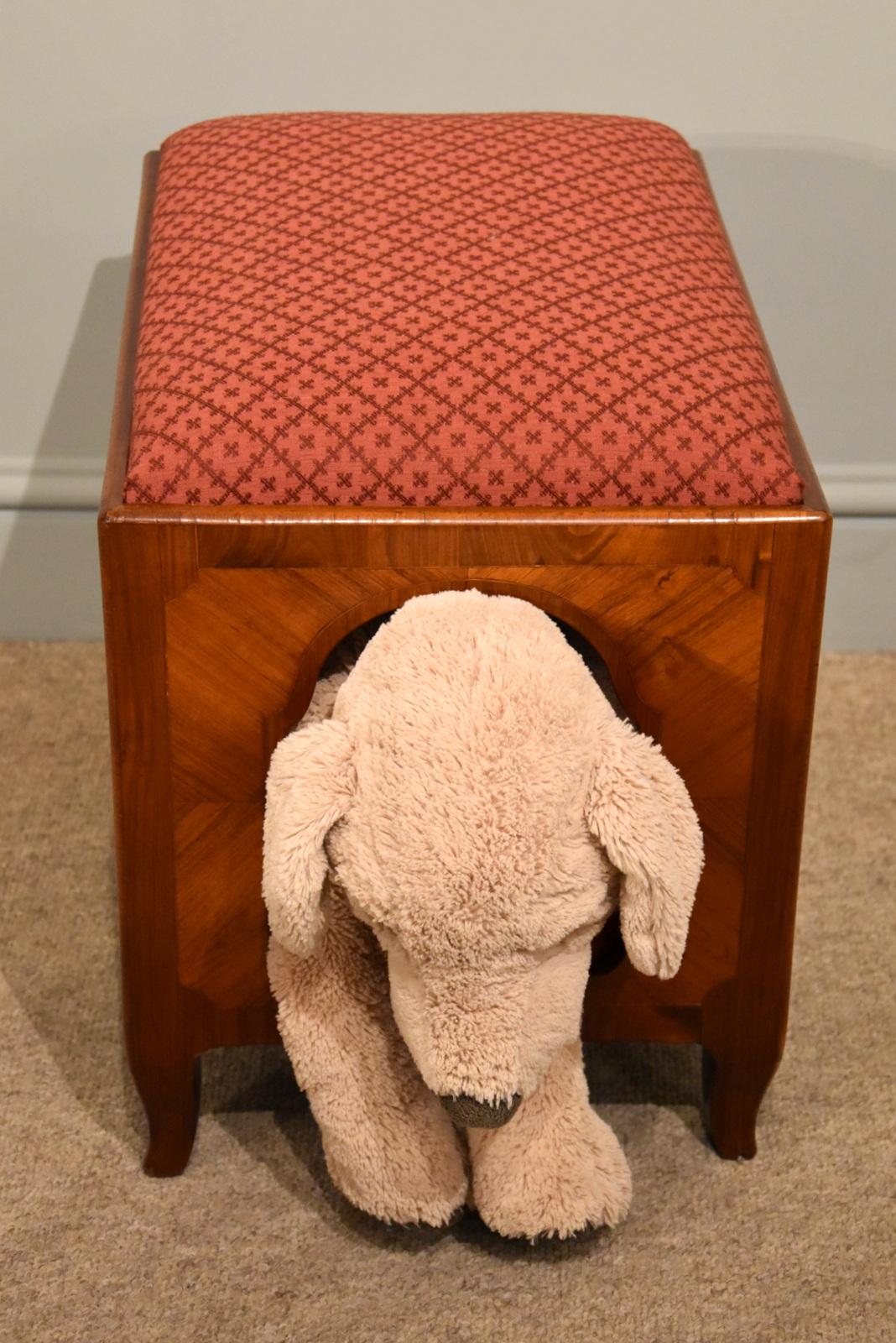 Victorian Unusual Kingwood French Dog Kennel/Stool For Sale