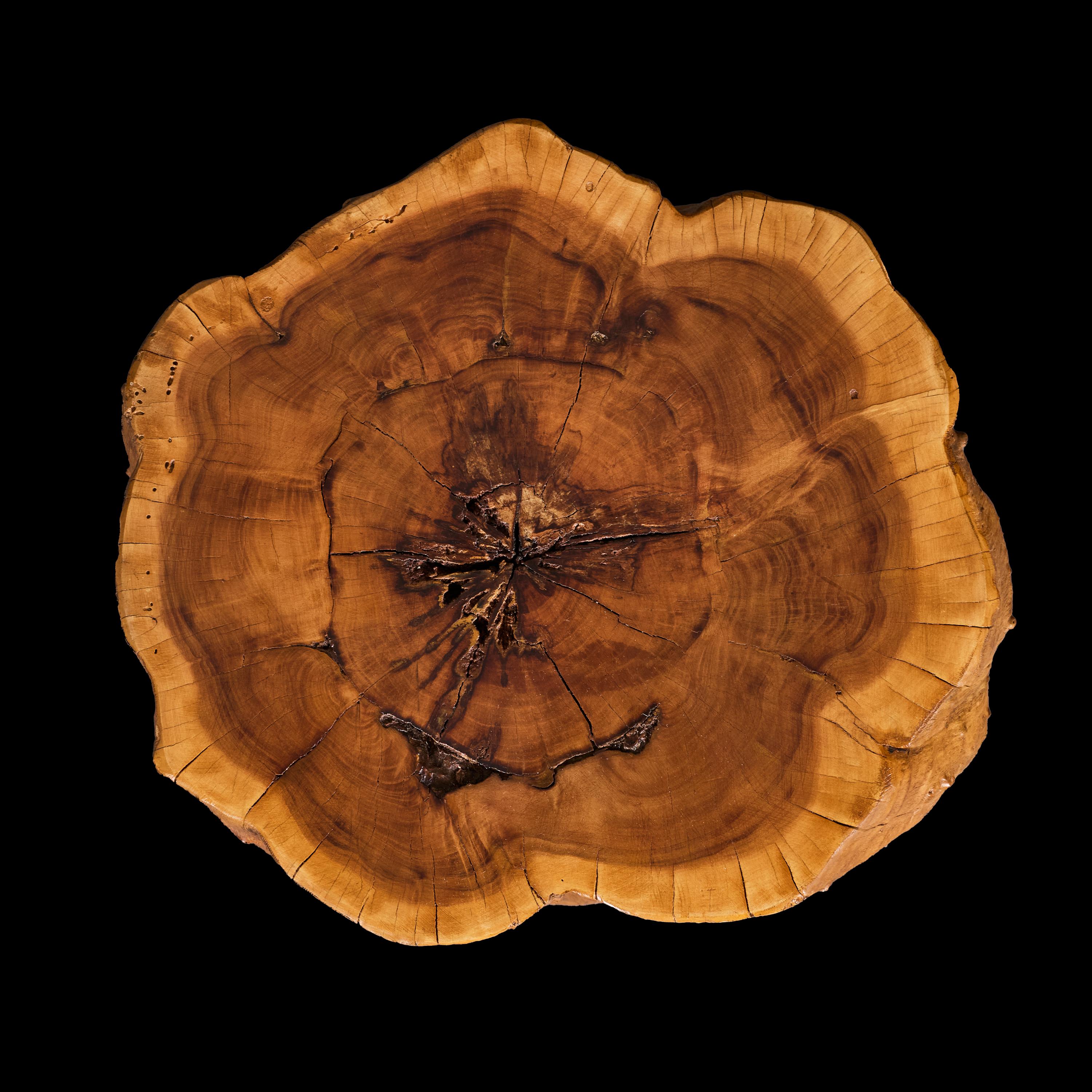 20ième siècle Paire de tables d'appoint en tronc d'arbre du 20e siècle, assorties et inhabituelles en vente