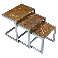 An Unusual Nest of Fossil Top Tables
