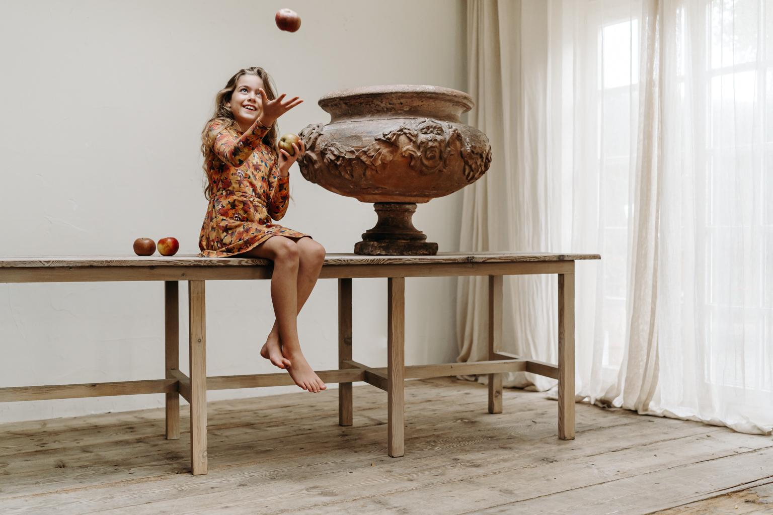 XL Jardinière in terracotta del XVII secolo In condizioni buone in vendita a Brecht, BE