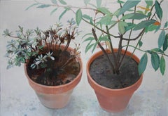 Dos siestos