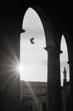 Alleluia, Sanctuary of Ftima, Portugal 2001 /Gelatin-Silberdruck/ Signiert