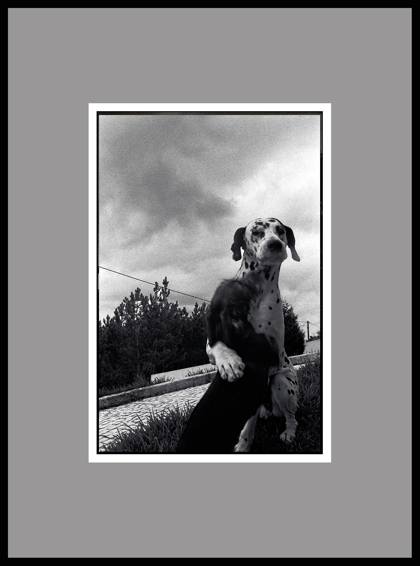 Street Photography /2001. Portugal / Analog camera photo / B&W 35 mm film. 400 iso / Gelatin Silver Print.
Signed, titled, negative date & print date on verso. Unframed.

Ana Maria is visual artist. She had a formal education in Fine Arts. Since