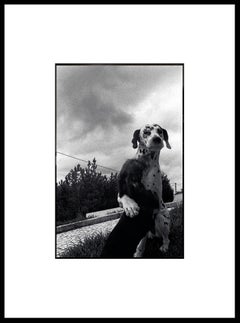 "Friends" Black & White Photography Gelatin Silver Print Portugal 2001