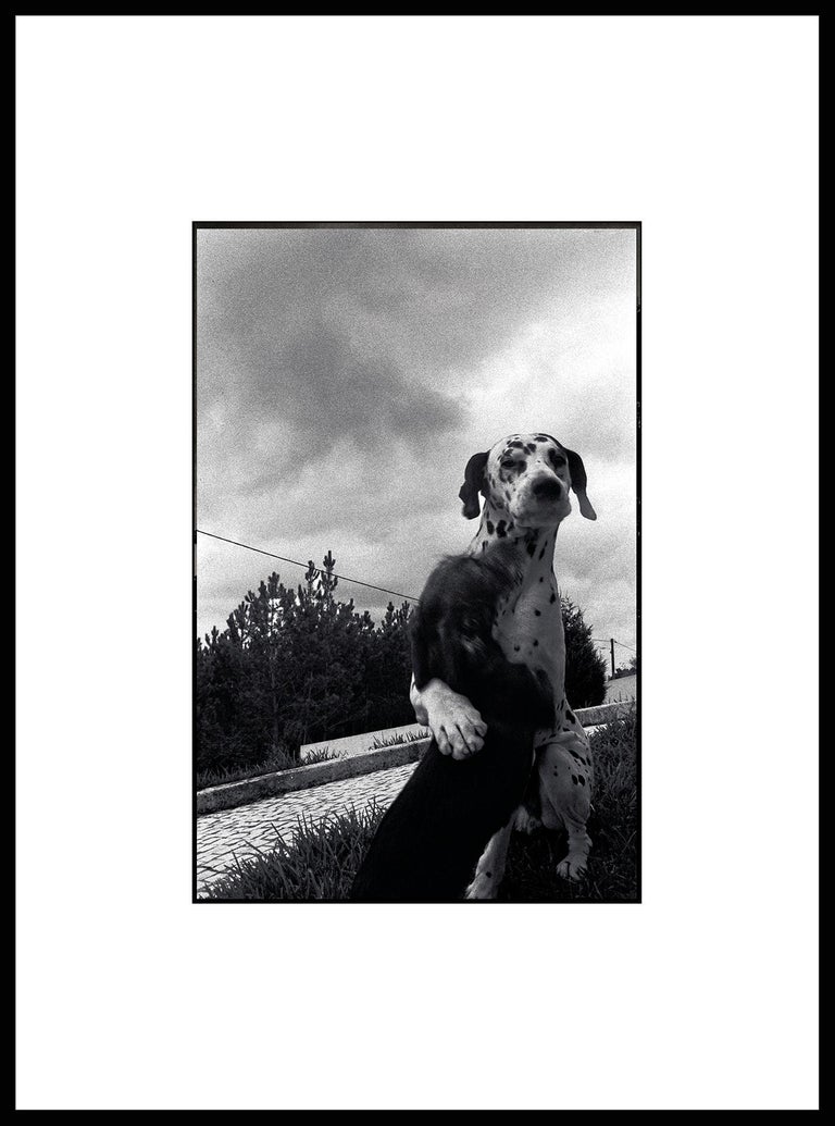 Ana Maria Cortesão Portrait Photograph - "Friends" Black & White Photography Gelatin Silver Print Portugal 2001