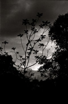 Nightfall, Portugal 2000 /Gelatin-Silberdruck/ Signiert