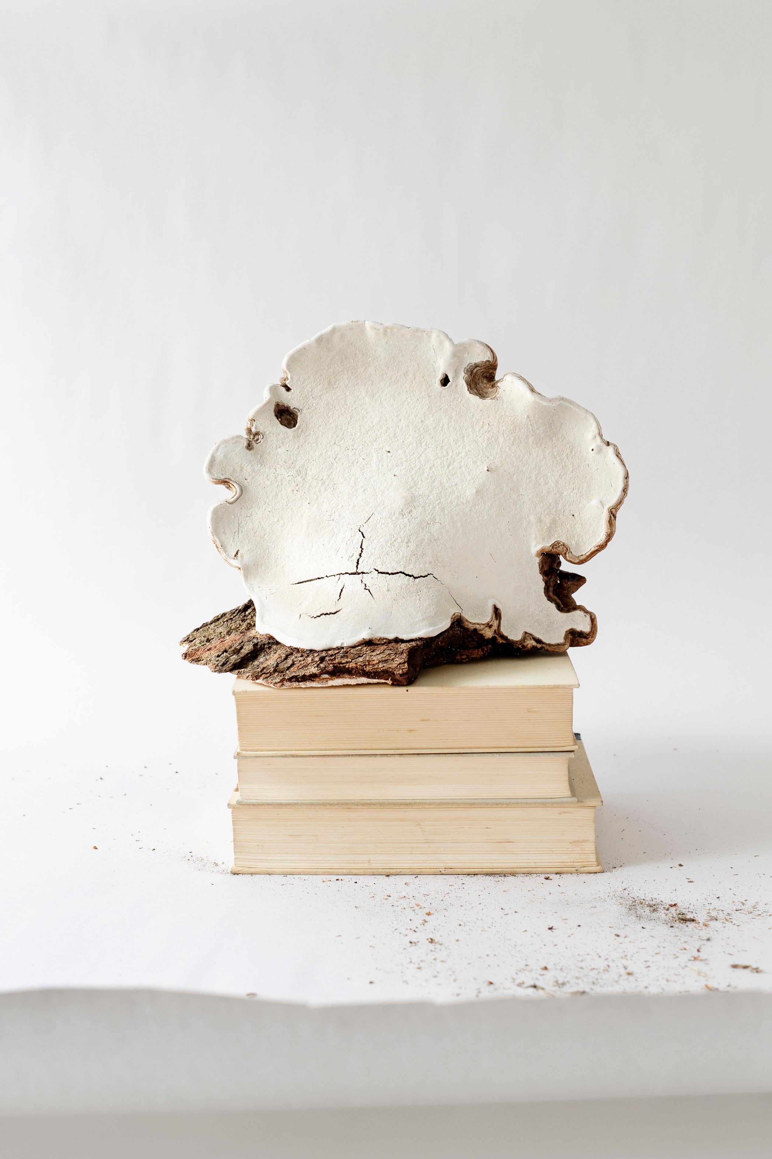 Untitled from the series Reimagining Materiality