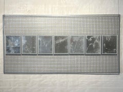 Pièce unique, Photographie réalisée sans appareil photo, Rayogram, eau et plantes