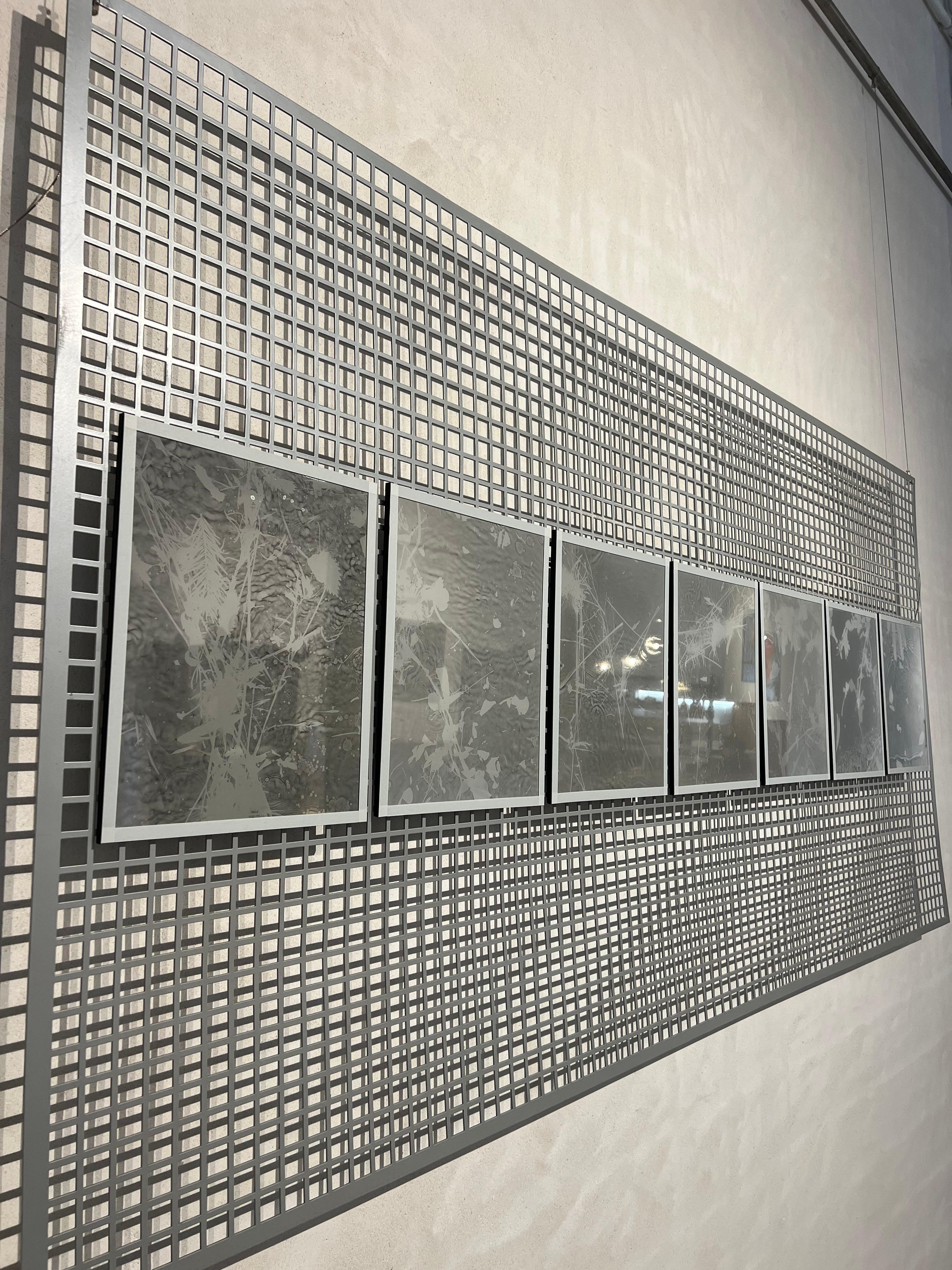 Unique piece, Photography made without a camera, Rayogram, Water and plants - Gray Landscape Photograph by Ana Paes