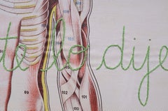 Cuerpo Humano, Embroidery on canvas from the Anatomy series