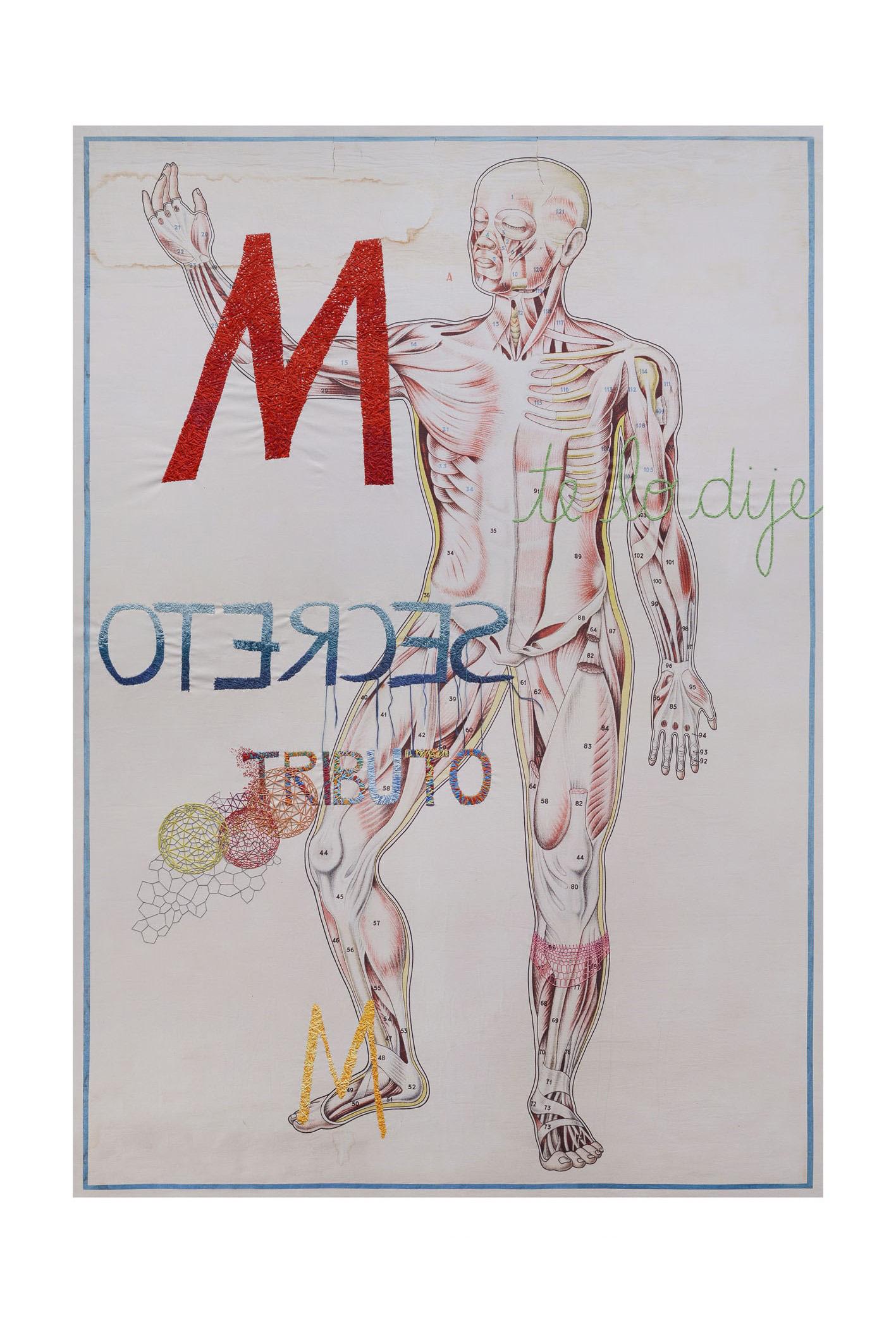 Cuerpo Humano, Bordado sobre lienzo de la serie Anatomía en venta 2