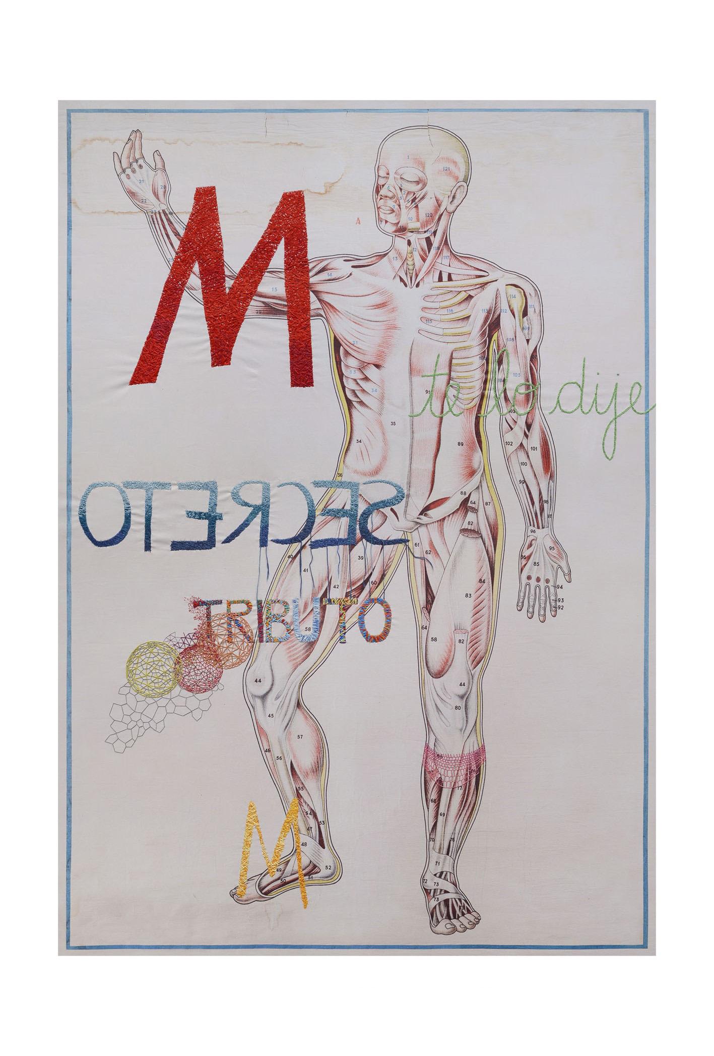 Cuerpo Humano, Embroidery on canvas from the Anatomy series  For Sale 2