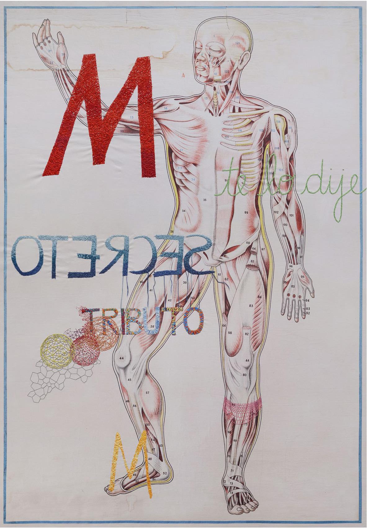 Cuerpo Humano, Stickerei auf Leinwand aus der Anatomieserie  – Art von Ana Seggiaro