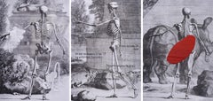 Tríptico Bordado a Mano De la serie Anatomía