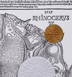 Rinoceronte. De la serie Durero