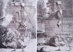 Sin título, Díptico. De la serie Anatomía