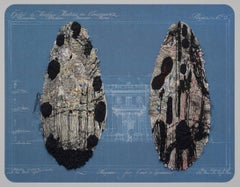 Diptyque sans titre. De la série Durero