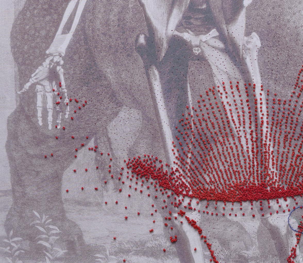 Unbetitelt. Stickerei auf bedrucktem Tuch-Kunstwerk. Aus der Anatomieserie  (Zeitgenössisch), Art, von Ana Seggiaro