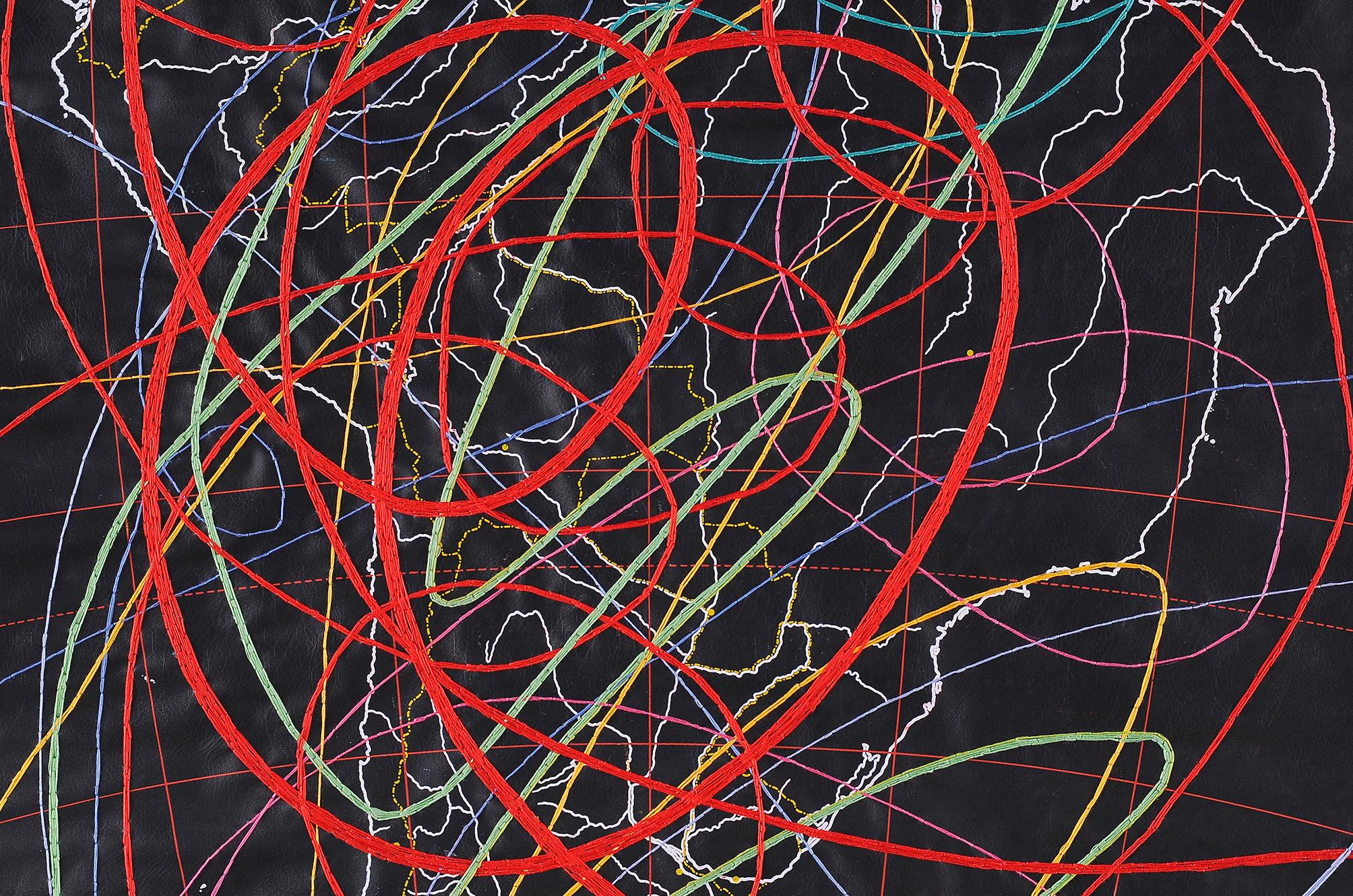 A mediados de la década de 2000, Ana Seggiaro realizó sus primeras obras de collage sobre papel a pequeña escala. Partiendo de páginas de libros, mapas y partituras, realiza las primeras series intervenidas a través del bordado y la pintura. En