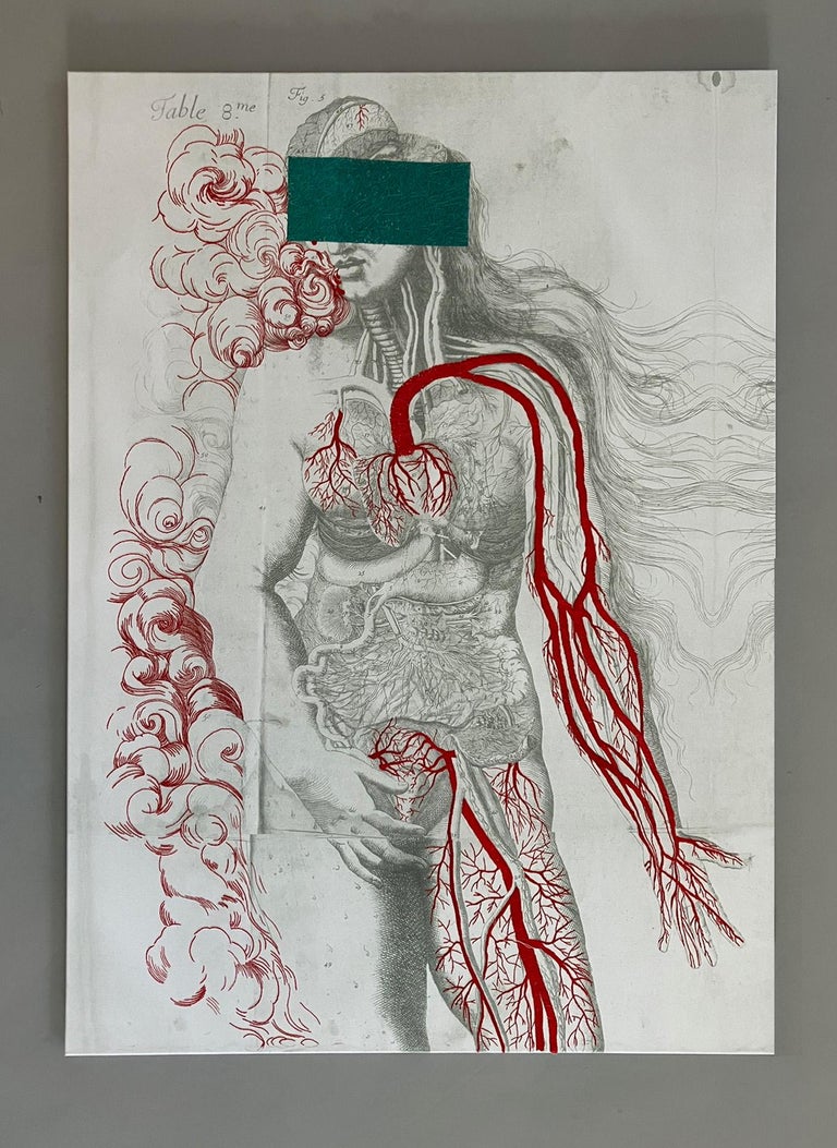 Ana Seggiaro - Venere, Ricamo a mano su tela stampata. Dalla serie Anatomia  in vendita su 1stDibs