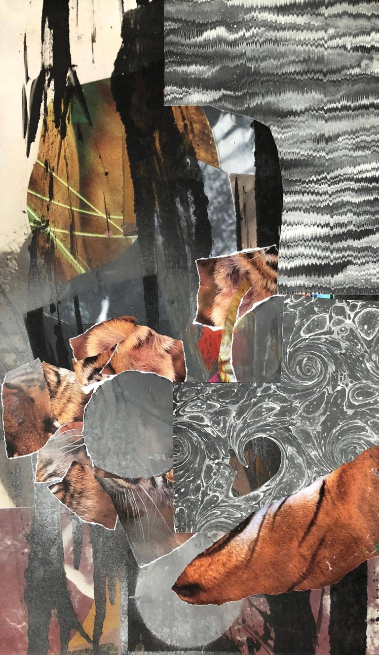Chocolate Bear 2
