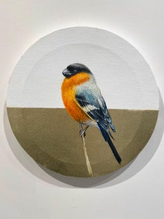 Eurasian Bullfinch - Orange & Black Bird Painting with Gold Leaf on Round Canvas