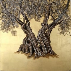 Gnarly - Realist earth toned ancient Olive Tree, golden background and nature