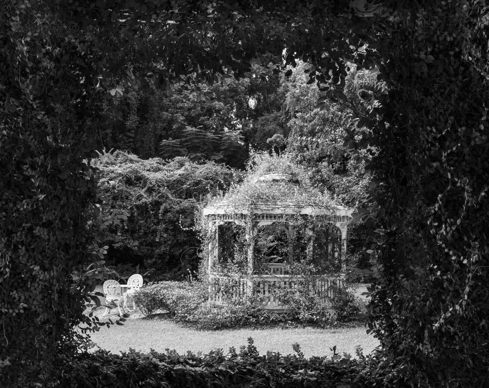 Anastasia Samoylova Black and White Photograph - Garden, Micanopy, 2020