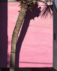 Miami Rosa, 2019