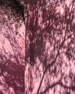 Walls roses de Sarasota, 2020