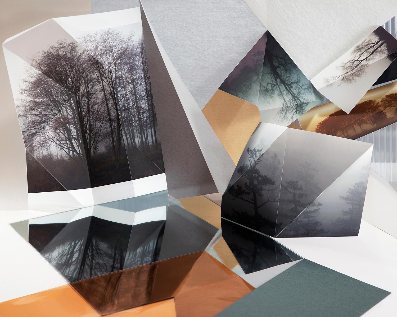 Anastasia Samoylova Abstract Photograph – Bäume im Nebel
