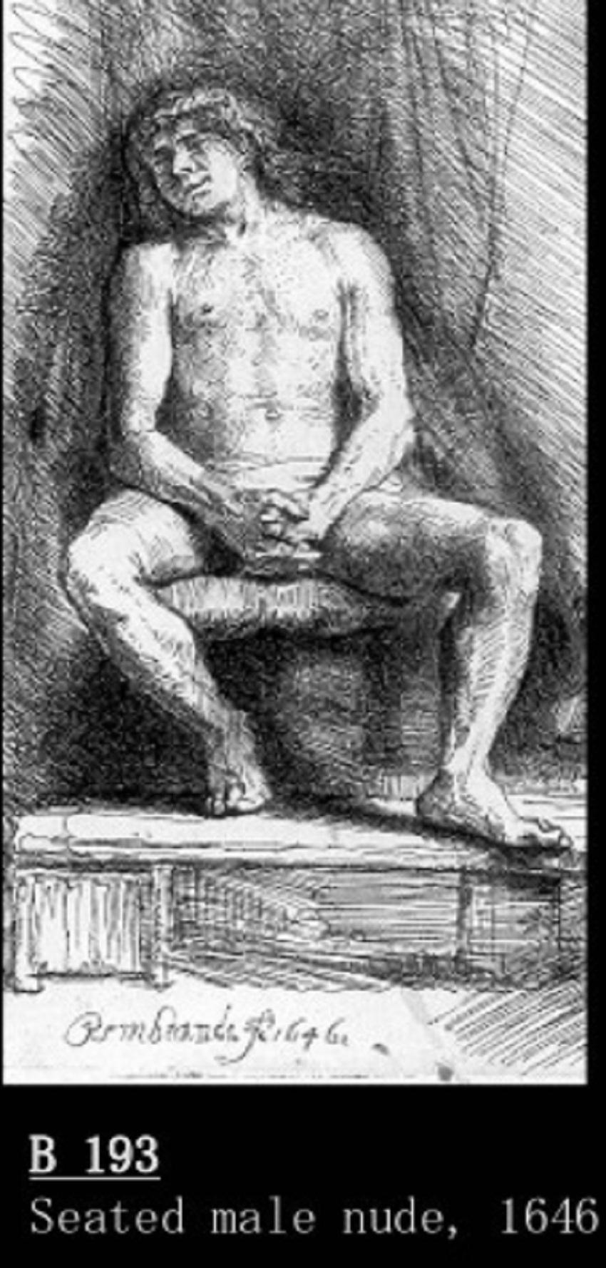 rembrandt seated nude
