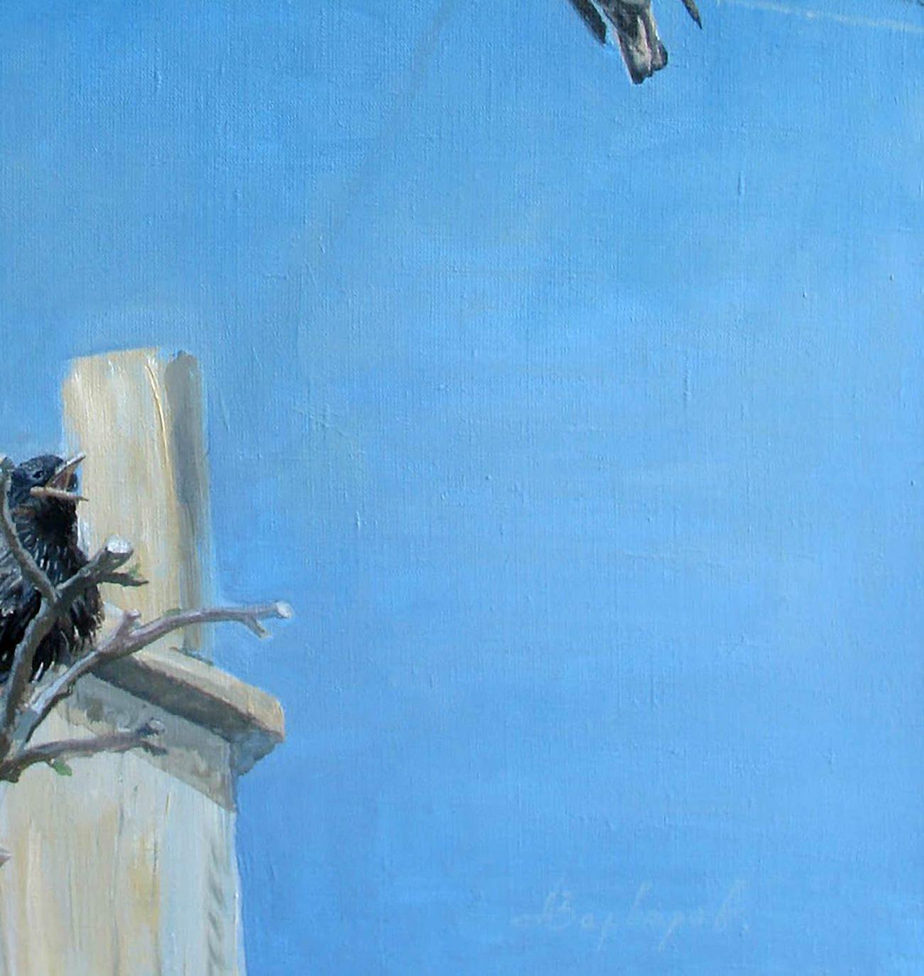 Starling,  Vögel, Zeitgenössische Kunst, Original Ölgemälde, Einzigartig – Painting von Anatoly Varvarov Viktorovich