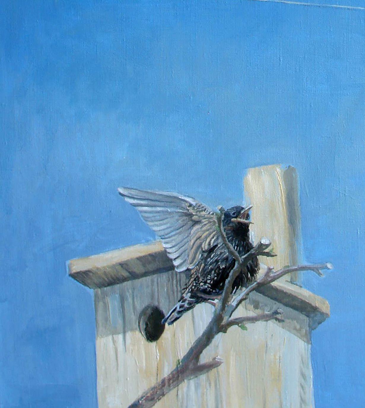 Starling,  Birds, Contemporary art, Original oil Painting, One of a Kind - Blue Animal Painting by Anatoly Varvarov Viktorovich