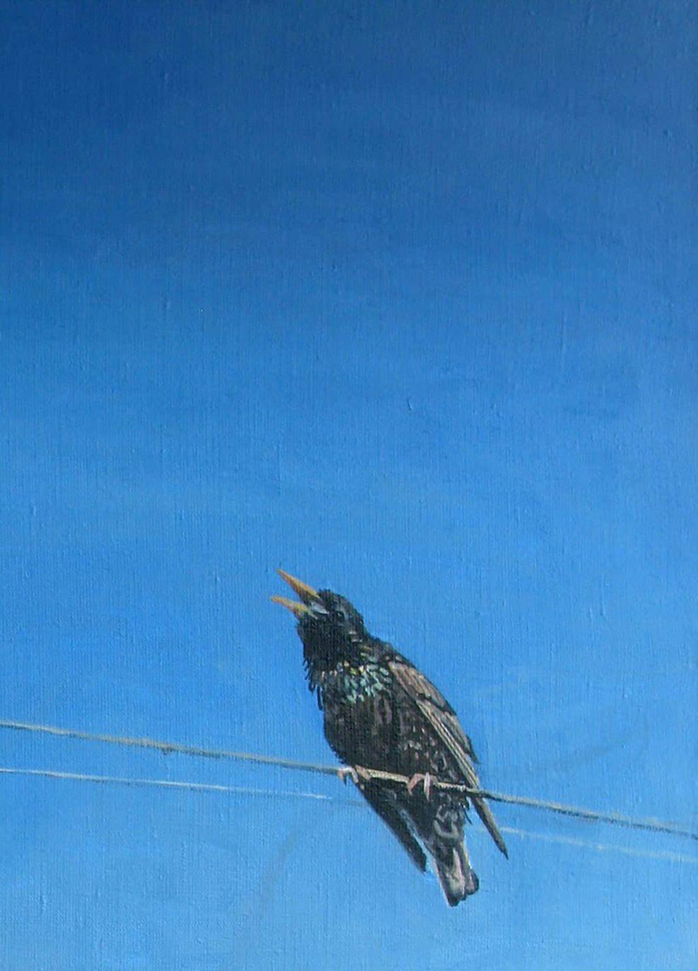 Starling,  Vögel, Zeitgenössische Kunst, Original Ölgemälde, Einzigartig (Blau), Animal Painting, von Anatoly Varvarov Viktorovich