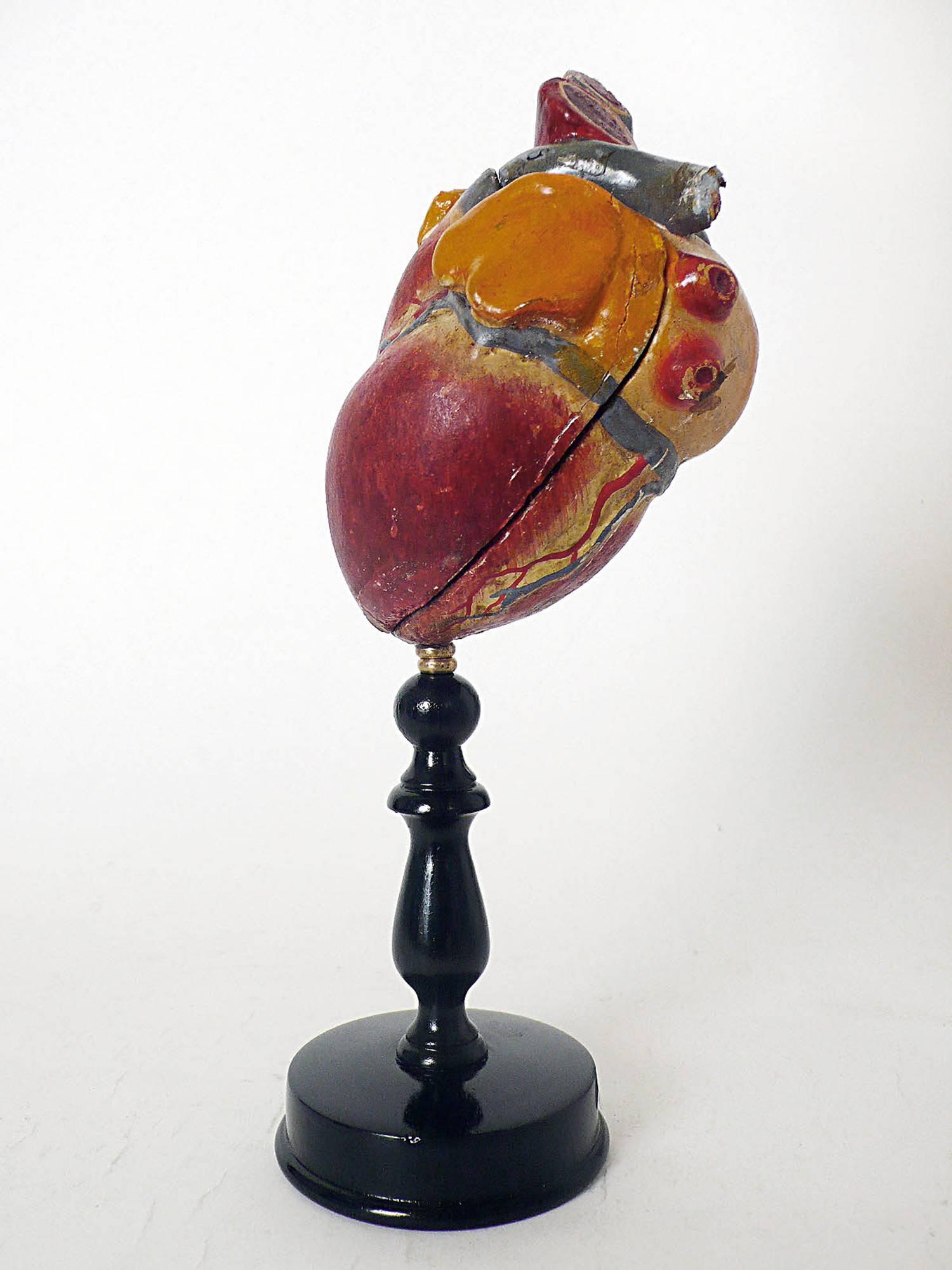 Anatomic Model Depicting a Human Heart, France,  1890 In Good Condition In Milan, IT