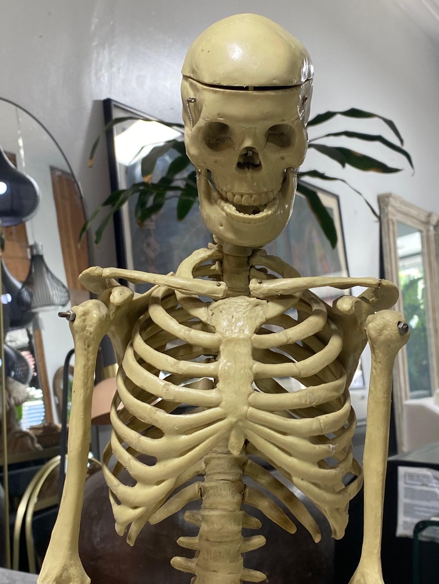 Modelo Anatómico Esqueleto Humano Esculpido en Soporte de Exposición en Bueno estado para la venta en Studio City, CA