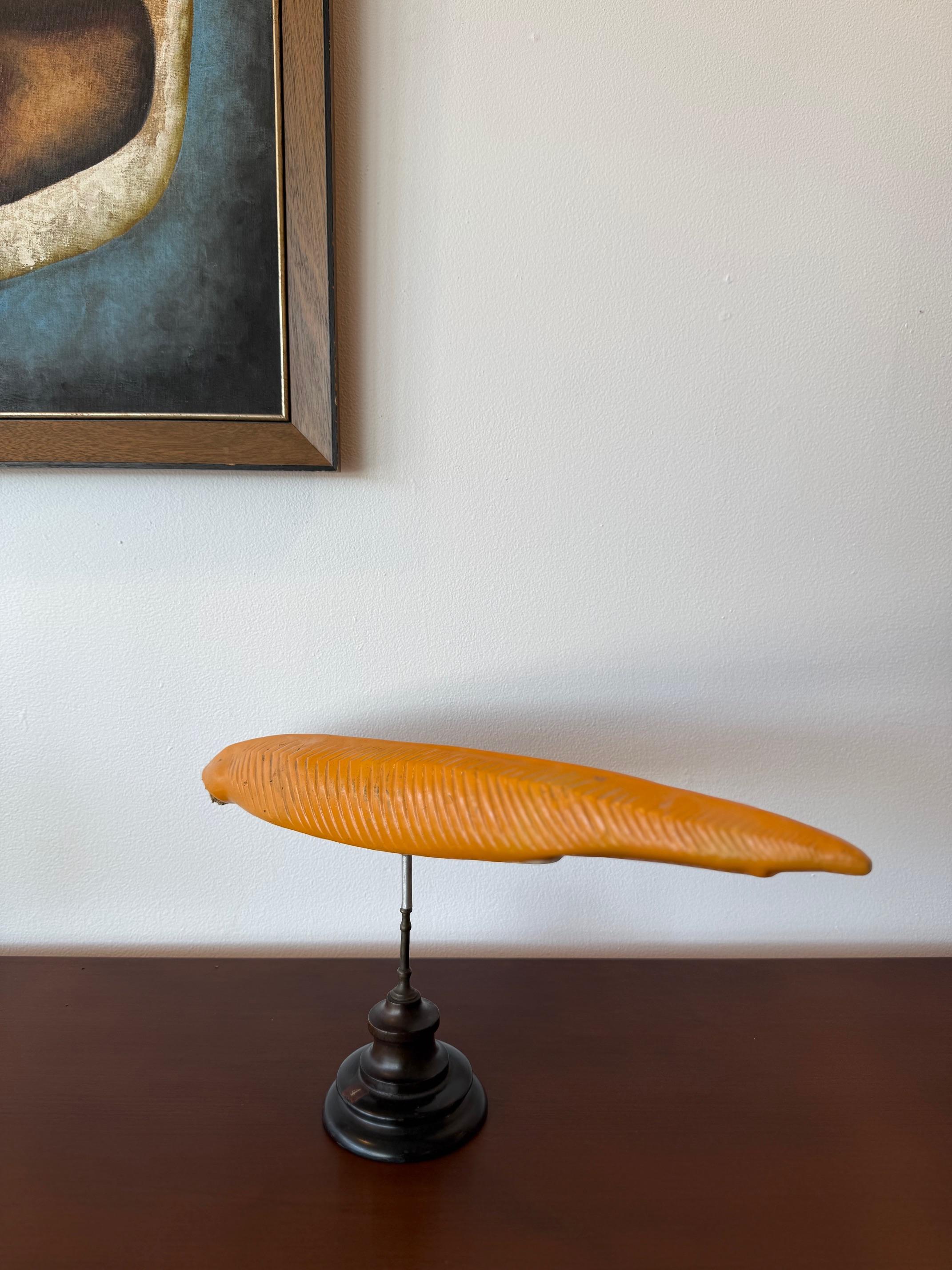 American Anatomical 1930's Mounted Eel Sculpture For Sale