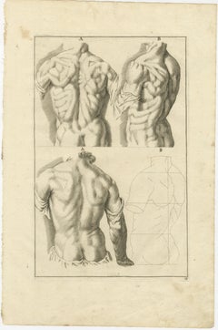 Anatomical Back Studies Academic Figure Engraving after de Lairesse, ca.1745