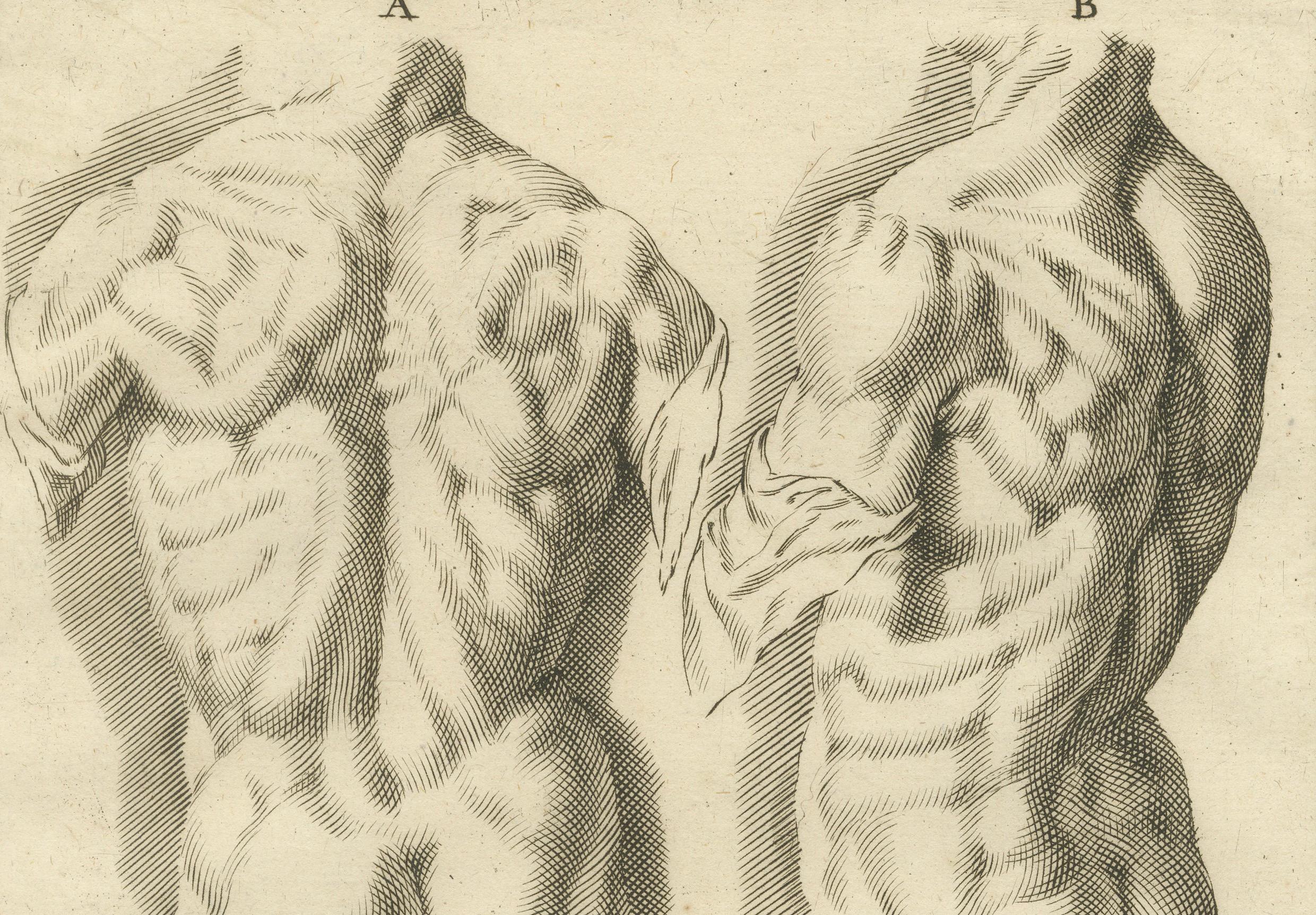 Anatomical Back Studies Academic Figure Engraving after de Lairesse, ca.1745