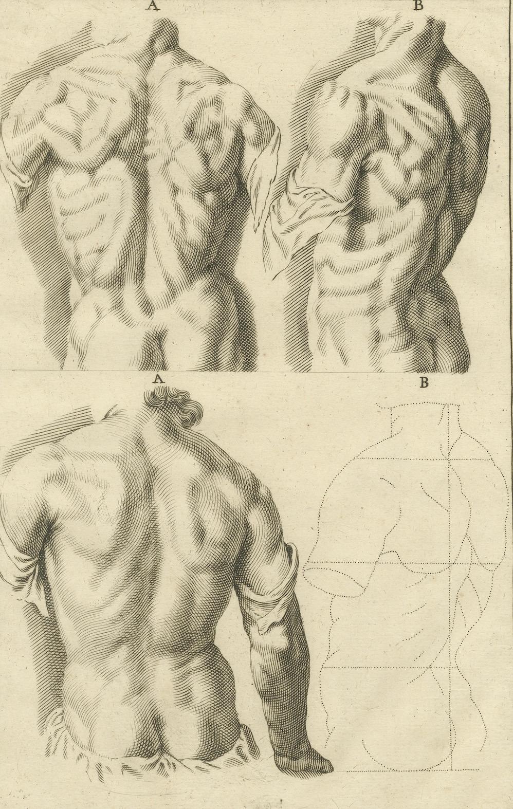 Anatomical Back Studies Academic Figure Engraving after de Lairesse, ca.1745