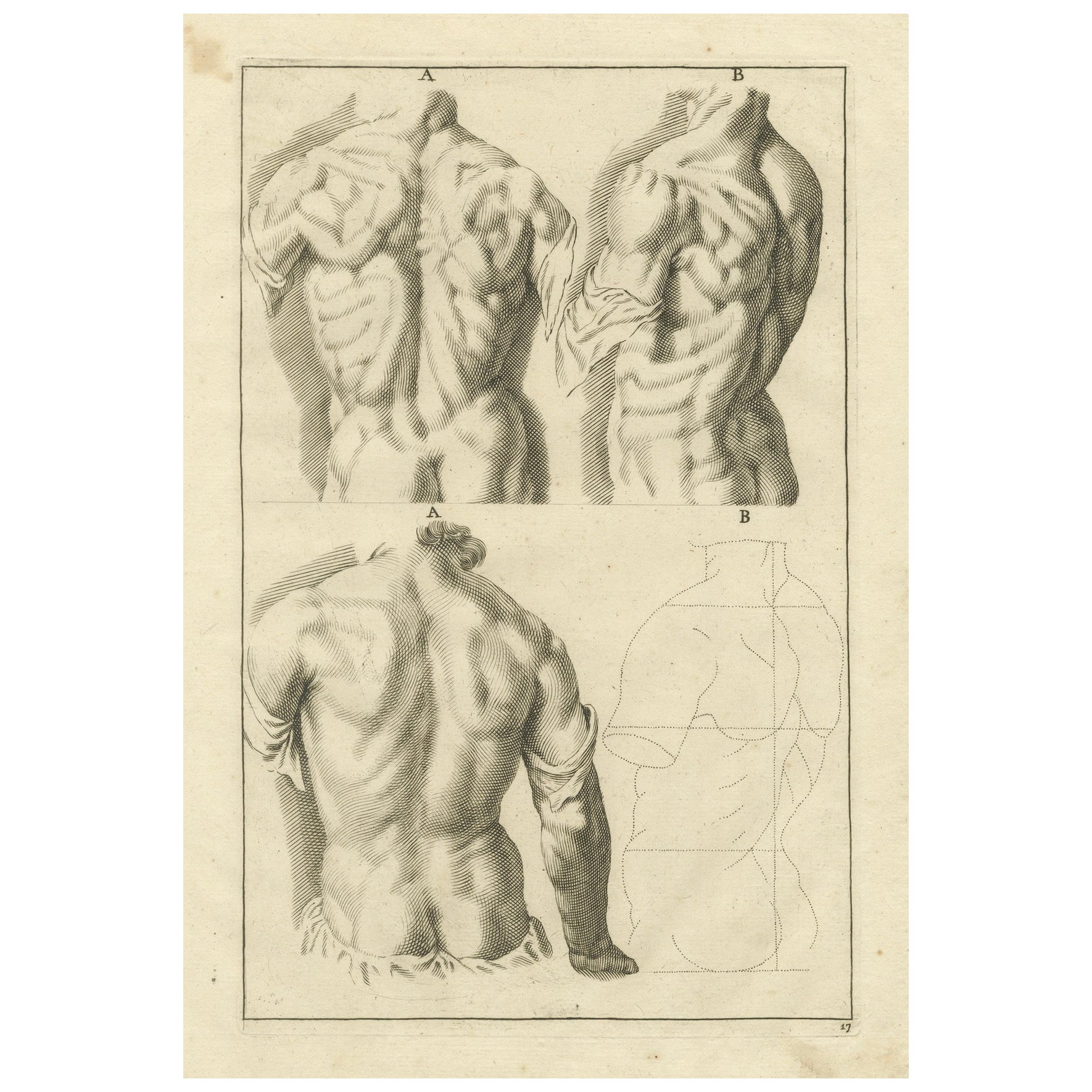 Anatomical Back Studies Academic Figure Engraving after de Lairesse, ca.1745 im Angebot