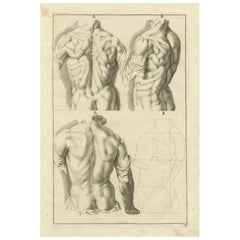 Anatomical Back Studies Academic Figure Engraving after de Lairesse, ca.1745