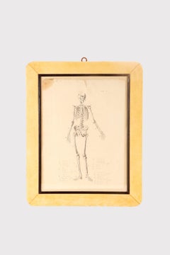 Anatomical drawing of a skeleton, made in pencil and ink, Italy 1890.