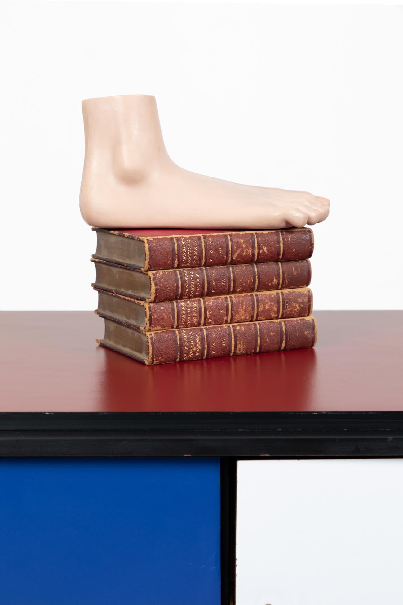 Figure anatomique détaillée d'un pied réalisée par le grand spécialiste des figures anatomiques, SOMSO.

Le modèle représente fidèlement les os, les muscles, les ligaments et les nerfs d'un être humain souffrant d'un pied plat.

Allemagne, vers