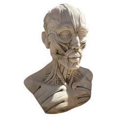 Anatomical Marble Bust, Italy, 1950s