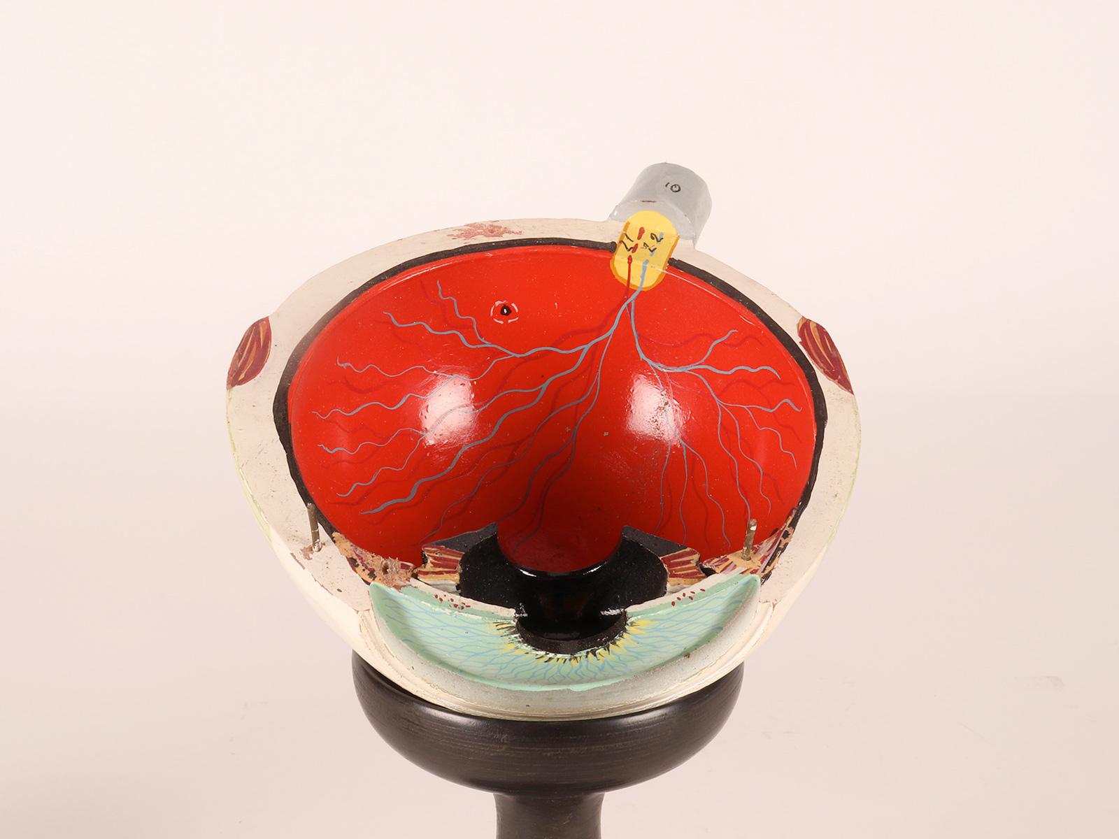Anatomical model: a decomposable eyeball, SOMSO, Germany circa 1930.  For Sale 5