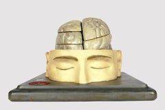 Anatomical model: a human brain inserted into a sectioned skullcap, Italy 1920.